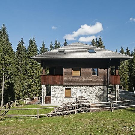 Apartments Villa Vesna Pokljuka Goreljek Zewnętrze zdjęcie