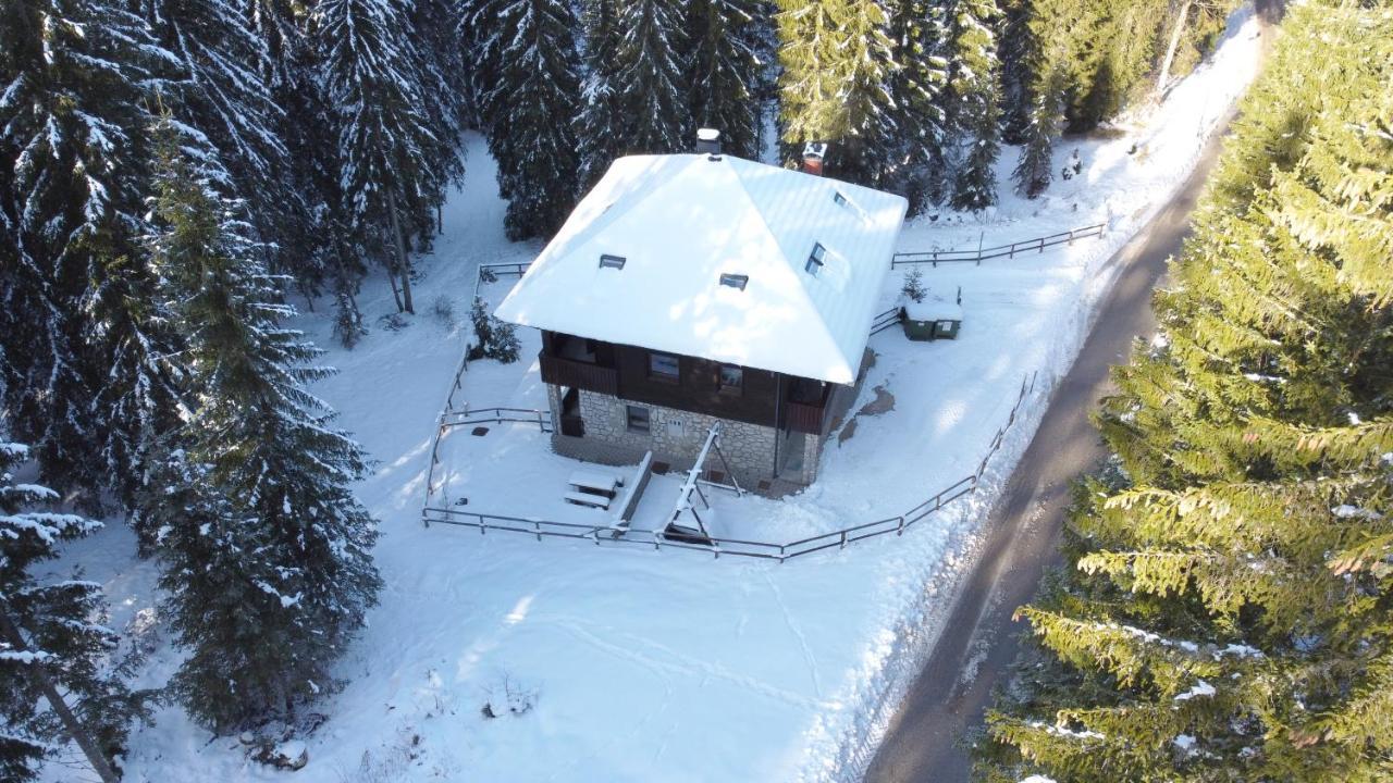 Apartments Villa Vesna Pokljuka Goreljek Zewnętrze zdjęcie